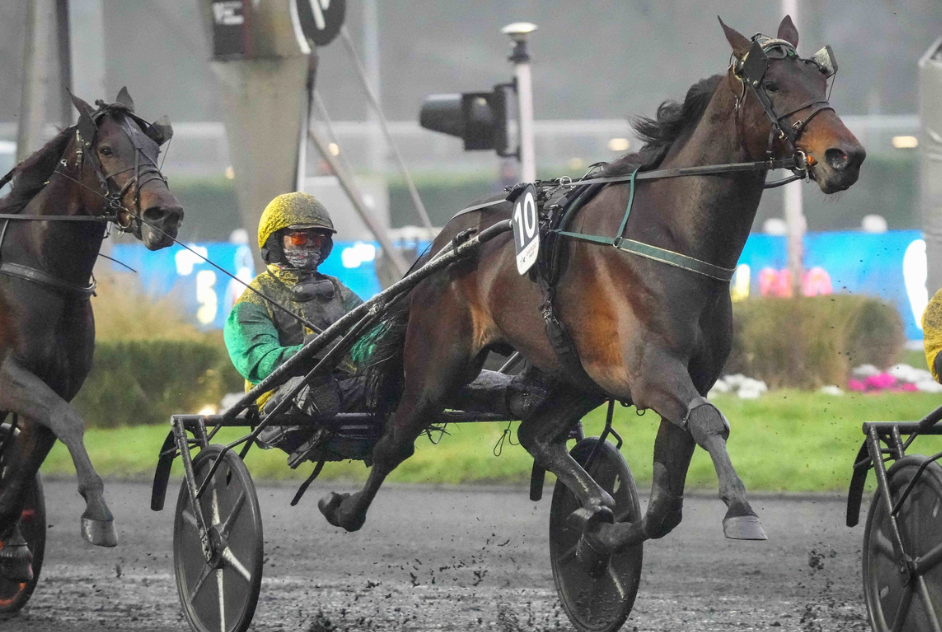 prono verite || pronoverite || prono vérité